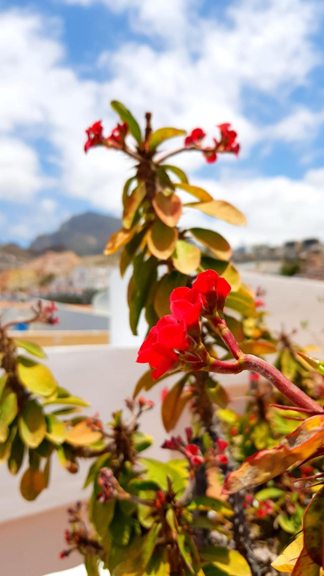 Warm, Cozy And Comfortable Costa Adeje  Exterior foto